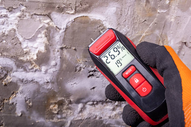  Dublin, VA Mold Removal Pros