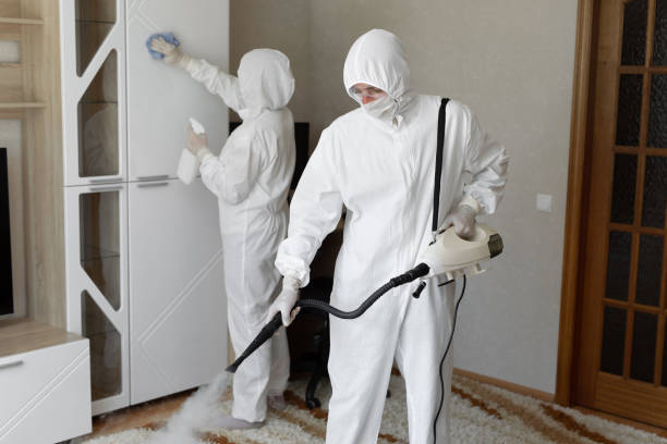 Best Black Mold Removal  in Dublin, VA