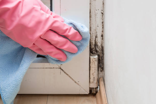 Best Water Damage Restoration  in Dublin, VA